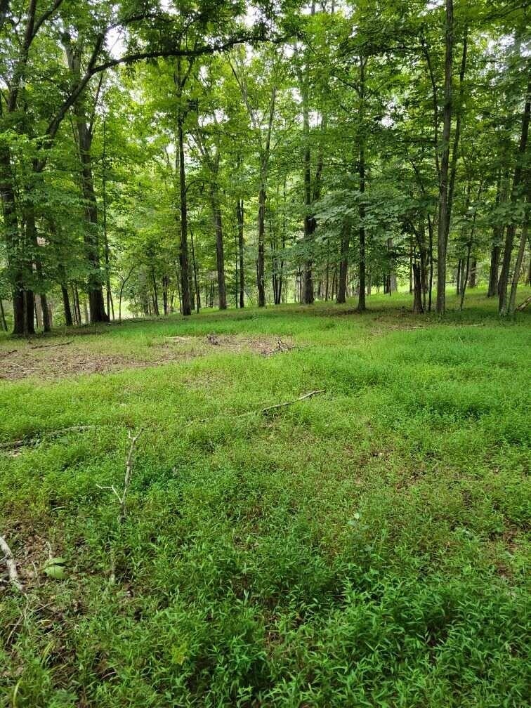 800 Moore Road Lavalette, WV 25535 - Photo 19 of 32 Gallery Image 19