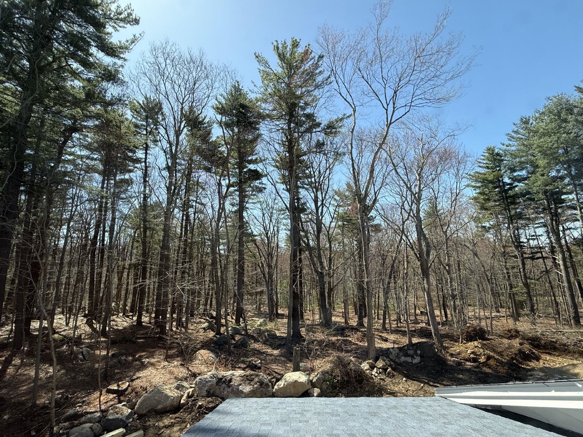 39 Mill Road North Hampton, NH 03862 - Photo 3 of 9