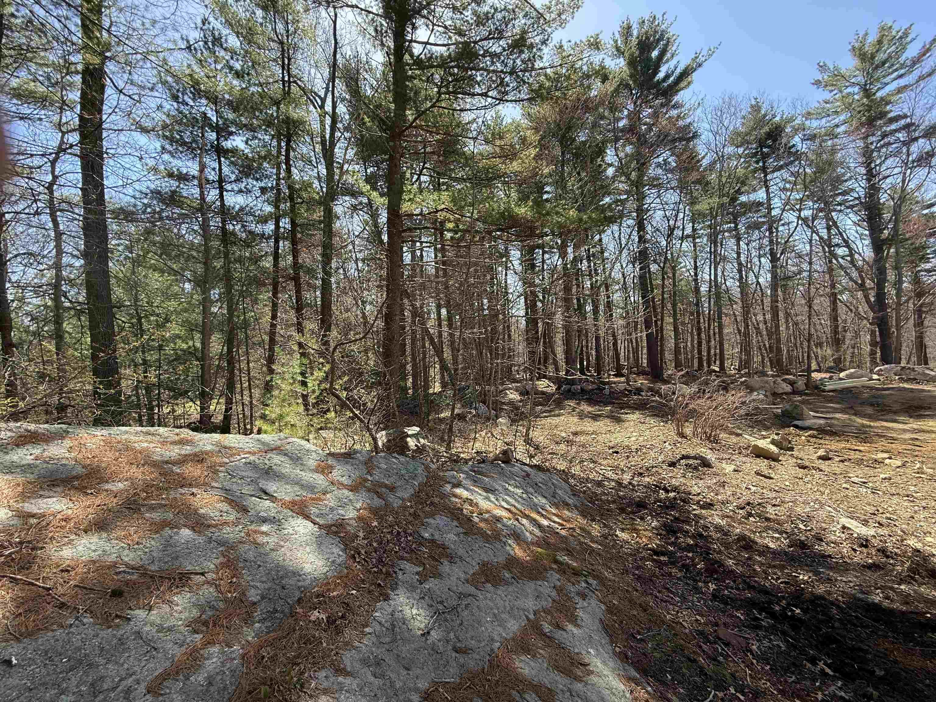 39 Mill Road North Hampton, NH 03862 - Photo 4 of 9
