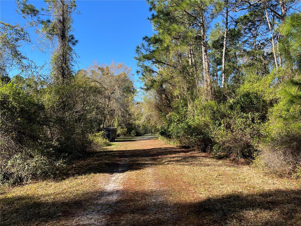 208 3rd Street Georgetown, FL 32139 - Photo 4 of 5 a view of small pond with green space