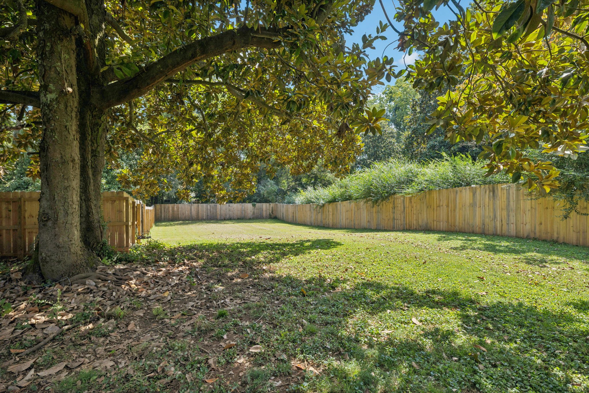 527 East Madison Street Pulaski, TN 38478 - Photo 69 of 74 a view of backyard with tree