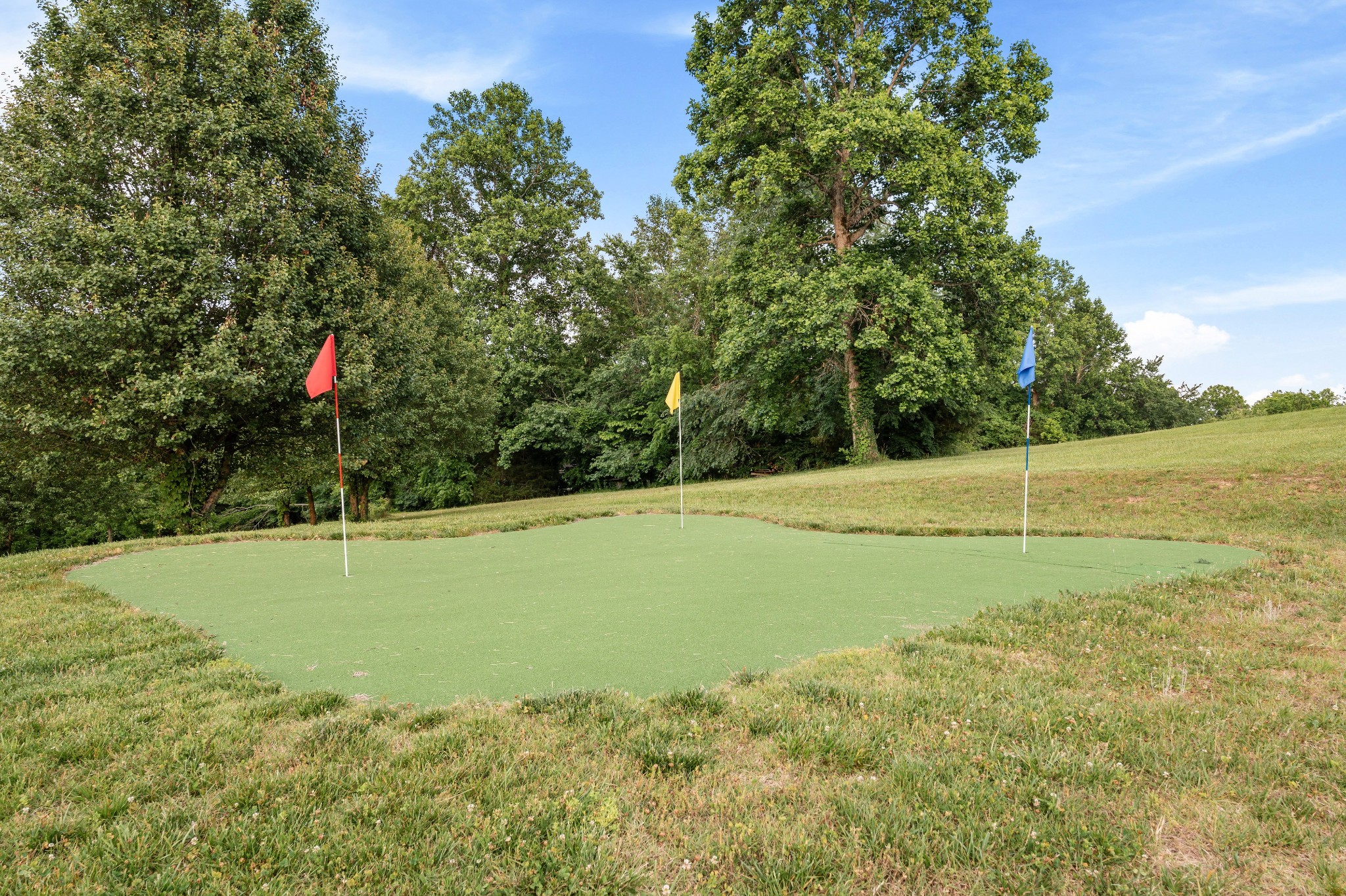 680 Williamson County Line Road Fairview, TN 37062 - Photo 54 of 58
