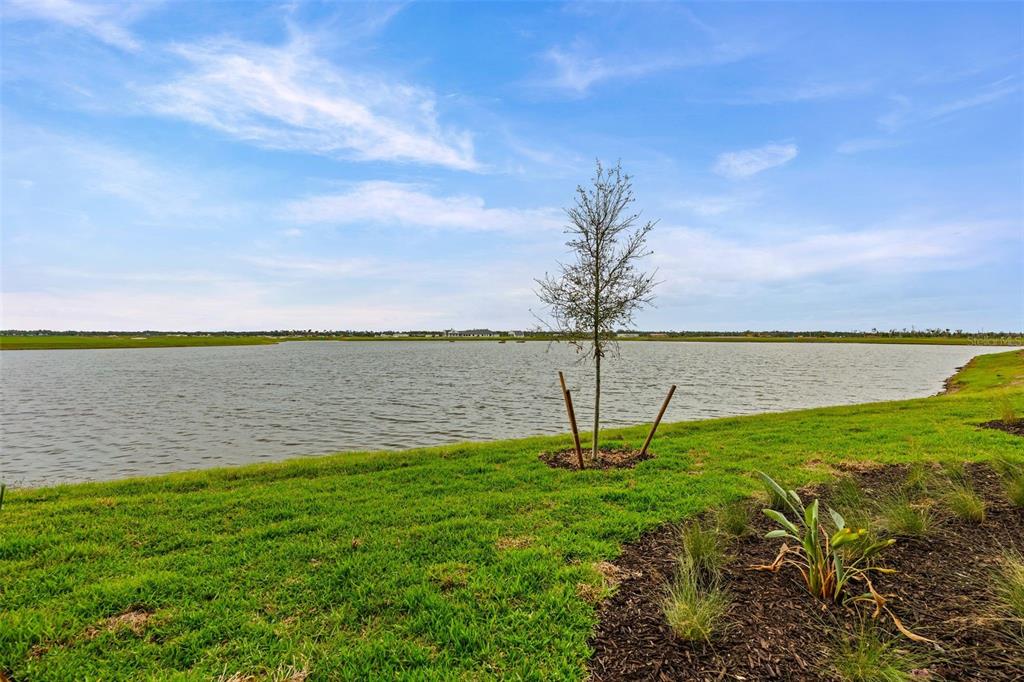 19140 Scallop Loop, Unit 105 Lakewood Ranch, FL 34211 - Photo 29 of 37 a view of a lake from a yard
