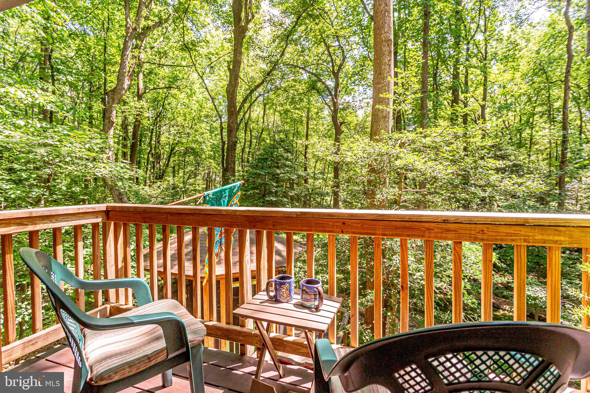 11606 Foxclove Road Reston, VA 20191 - Photo 33 of 80 Enjoy a Glass of Wine Your Private MBR Balcony