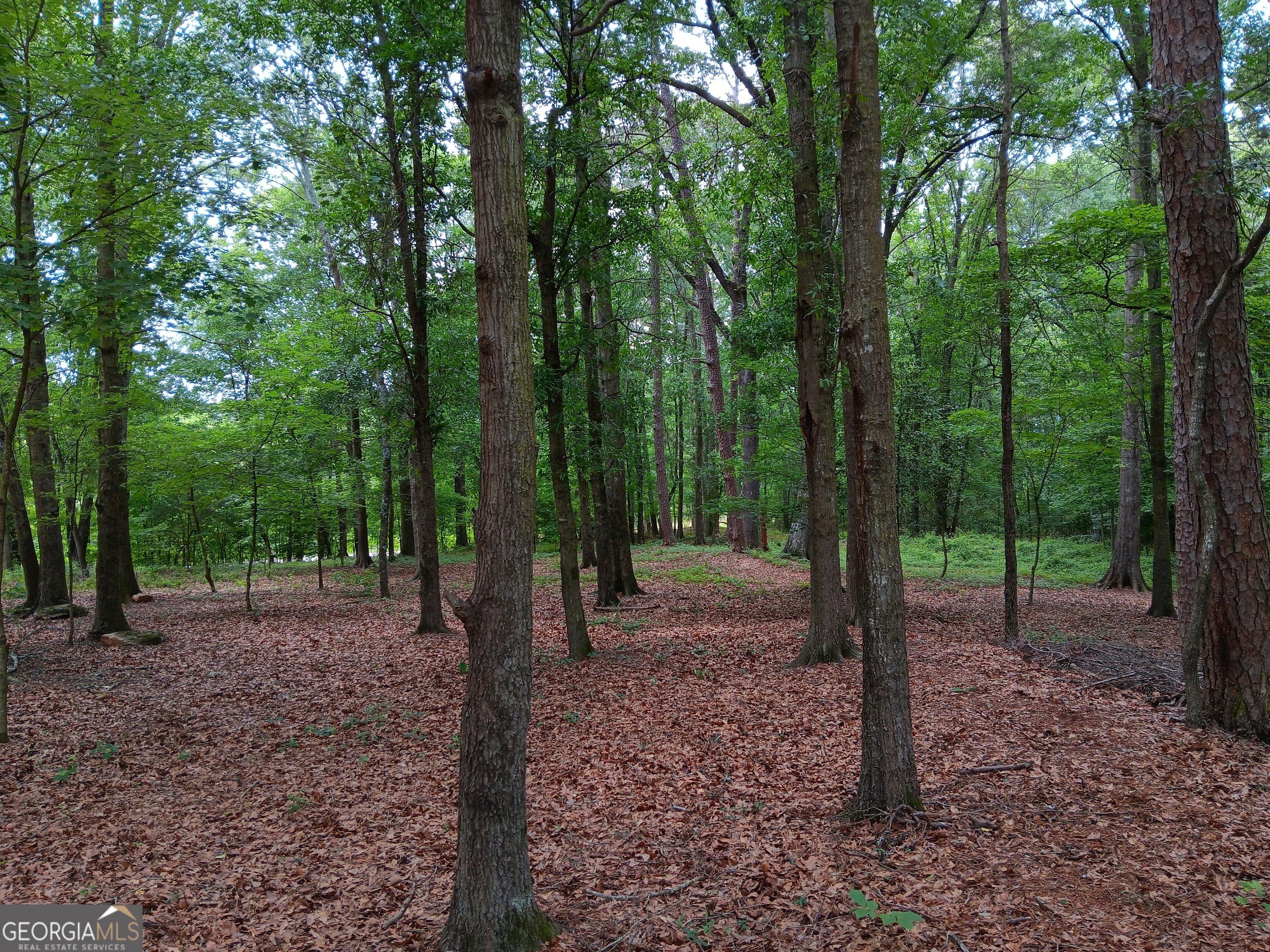 1109 Dixon Bridge Road Maysville, GA 30558 - Photo 1 of 15