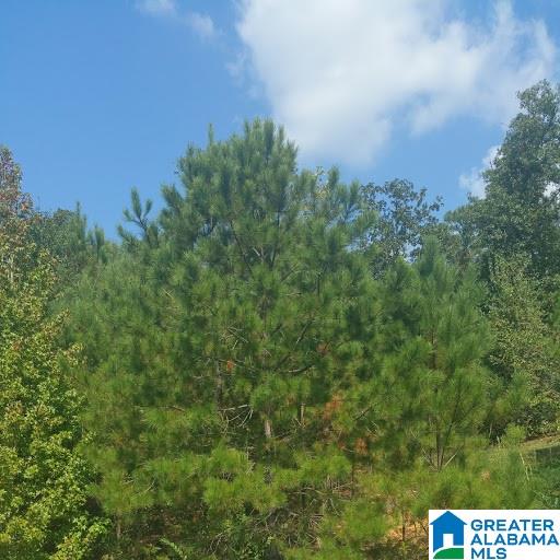 16 Mitch Lane, Unit 16 Alabaster, AL 35007 - Photo 8 of 11