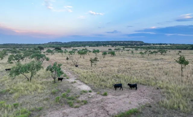 a view of a lake with a mountain in the back yard