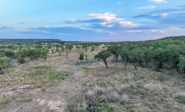 a view of a city with lush green forest