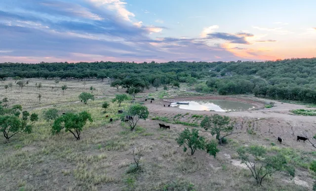 a view of a garden with houses