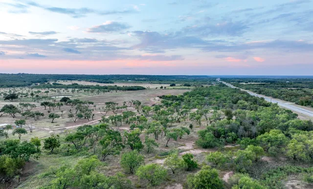 a view of a city with lush green forest