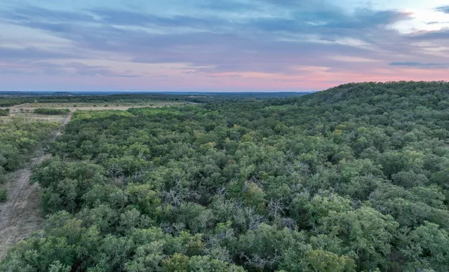 a view of an outdoor and trees