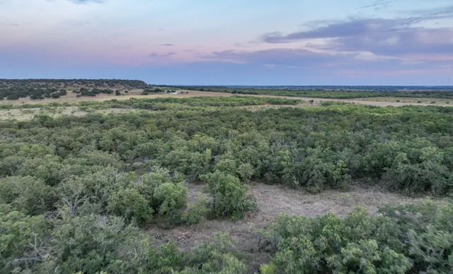 a view of a big yard with lots of green space