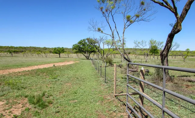 a view of a lake from a yard