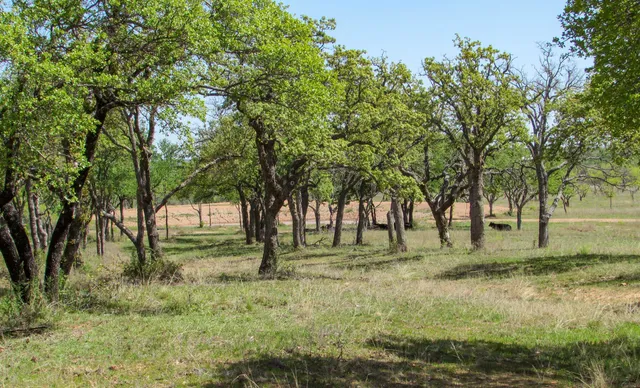 $1,058,198 | 15351 County Road 129, Brownwood, TX 76801