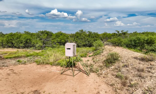 a view of a yard with a house