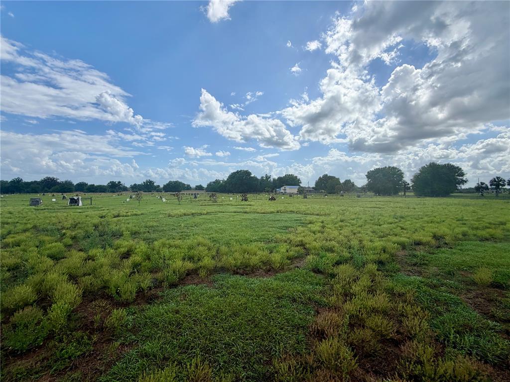 64 West St Road Wauchula, FL 33873 - Photo 7 of 9 Gallery Image 7
