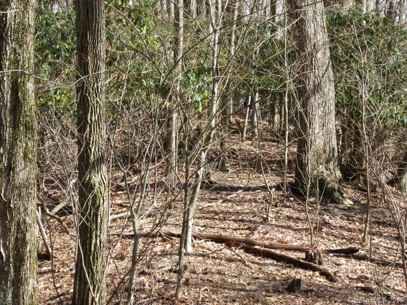 26 Left Fork Run Road Bakersville, NC 28705 - Photo 6 of 7 Gallery Image 6