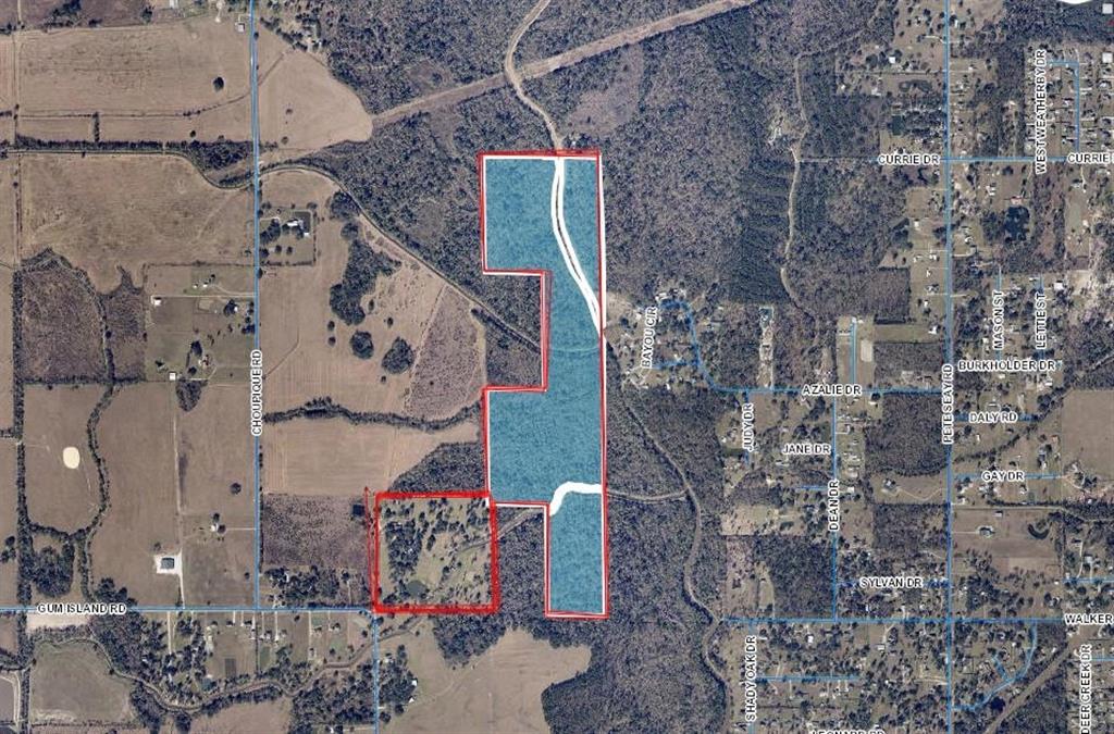 4490 Choupique Road Sulphur, LA 70665 - Photo 40 of 53