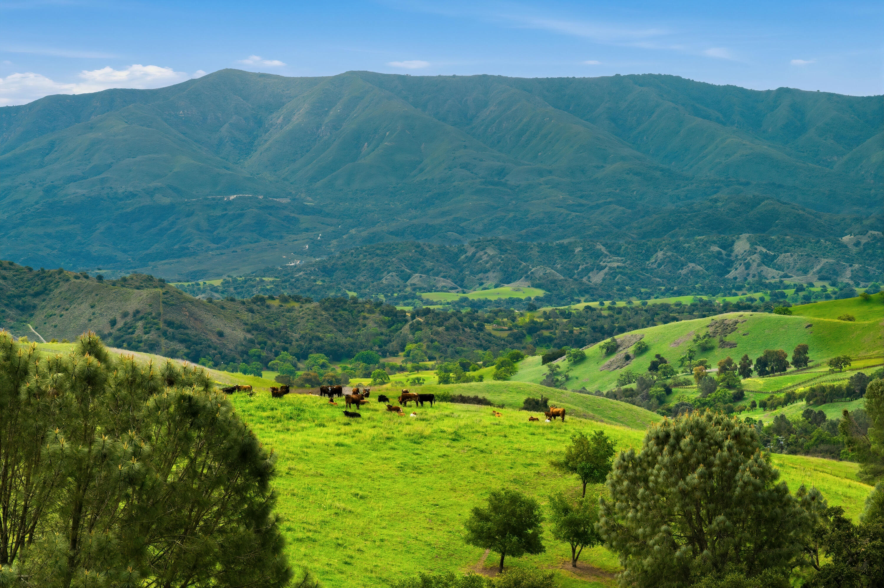 2160 Rambling Oaks Road Santa Ynez, CA 93460 - Photo 61 of 72 2160-rambling-oaks-ranch-santa-ynez-ca-6