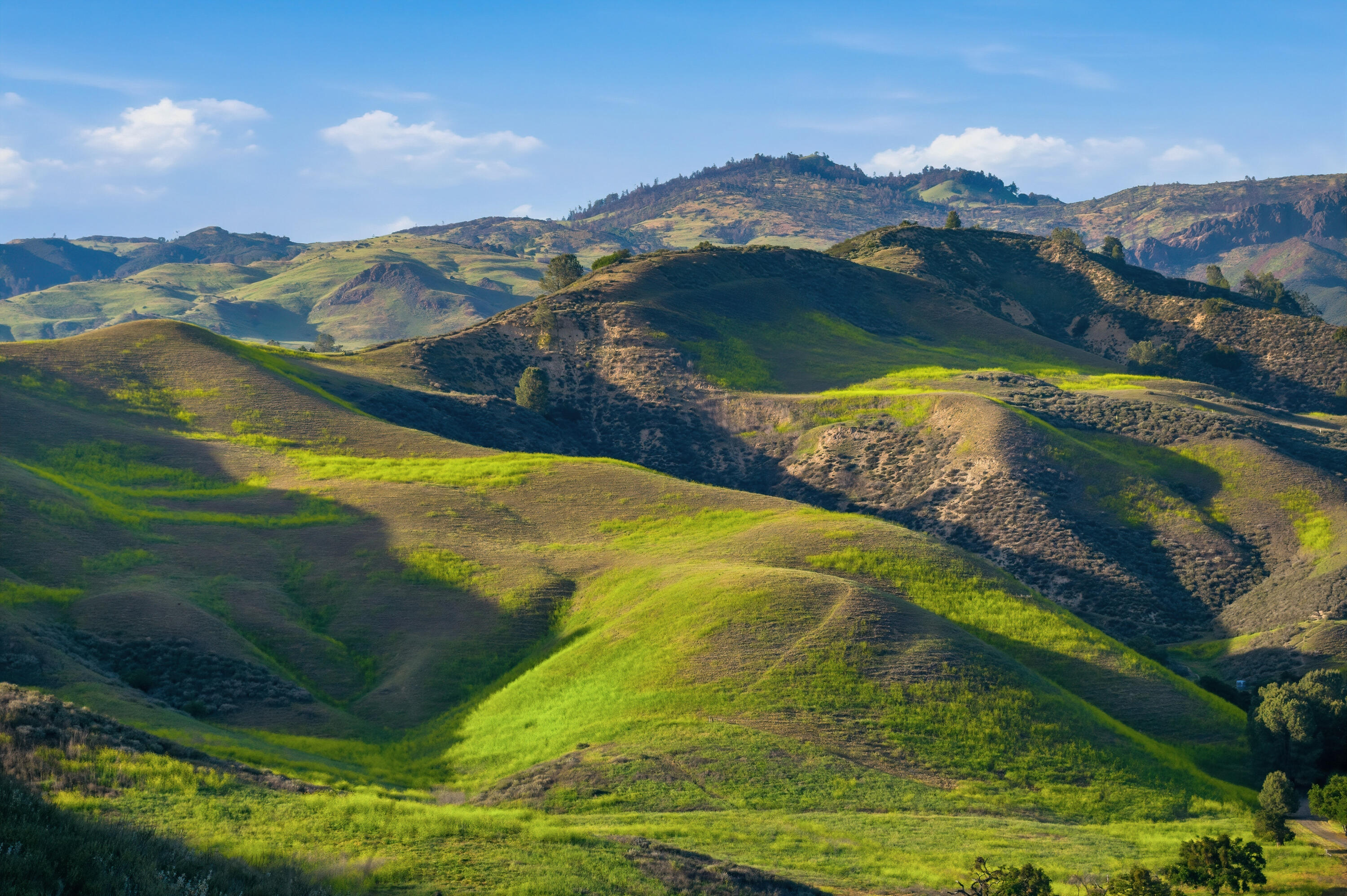 2160 Rambling Oaks Road Santa Ynez, CA 93460 - Photo 62 of 72 2160-rambling-oaks-ranch-santa-ynez-ca-6