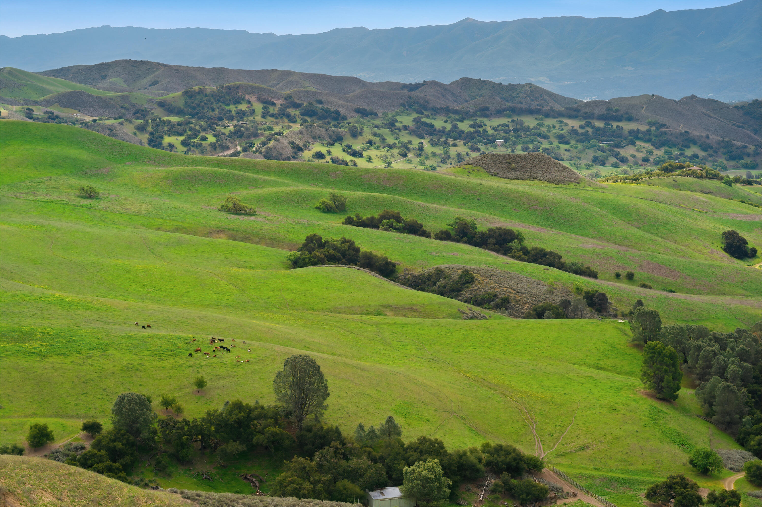 2160 Rambling Oaks Road Santa Ynez, CA 93460 - Photo 63 of 72 2160-rambling-oaks-ranch-santa-ynez-ca-6