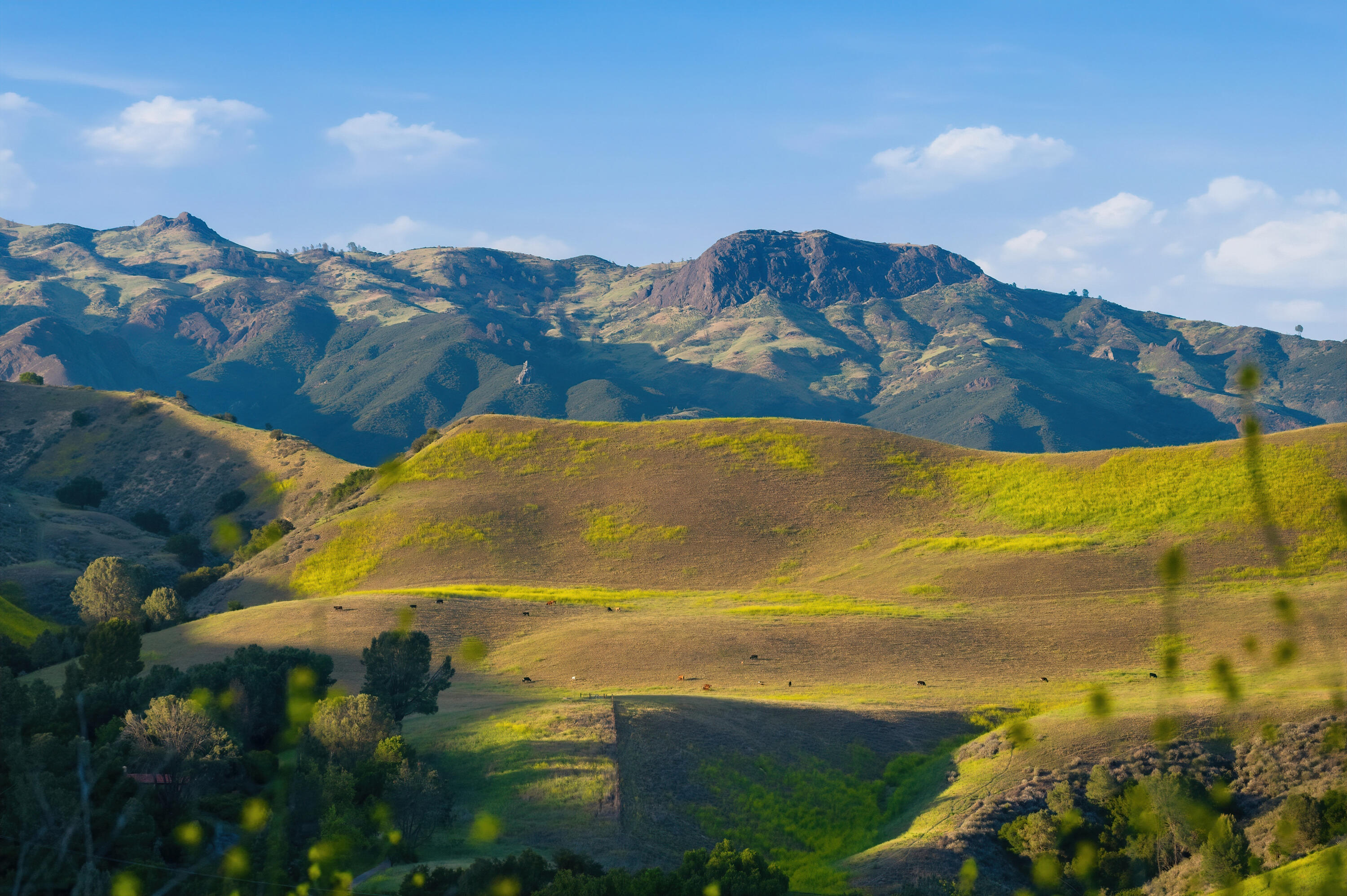 2160 Rambling Oaks Road Santa Ynez, CA 93460 - Photo 66 of 72 2160-rambling-oaks-ranch-santa-ynez-ca-6