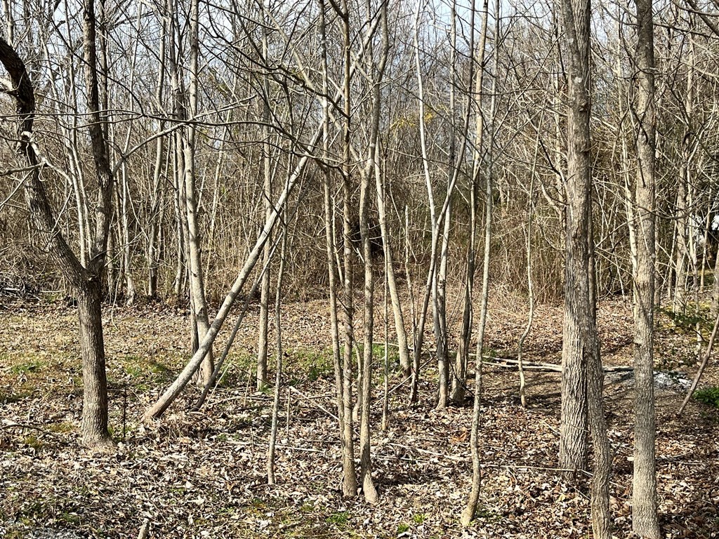 0 Shinbone Road Sevierville, TN 37876 - Photo 7 of 10