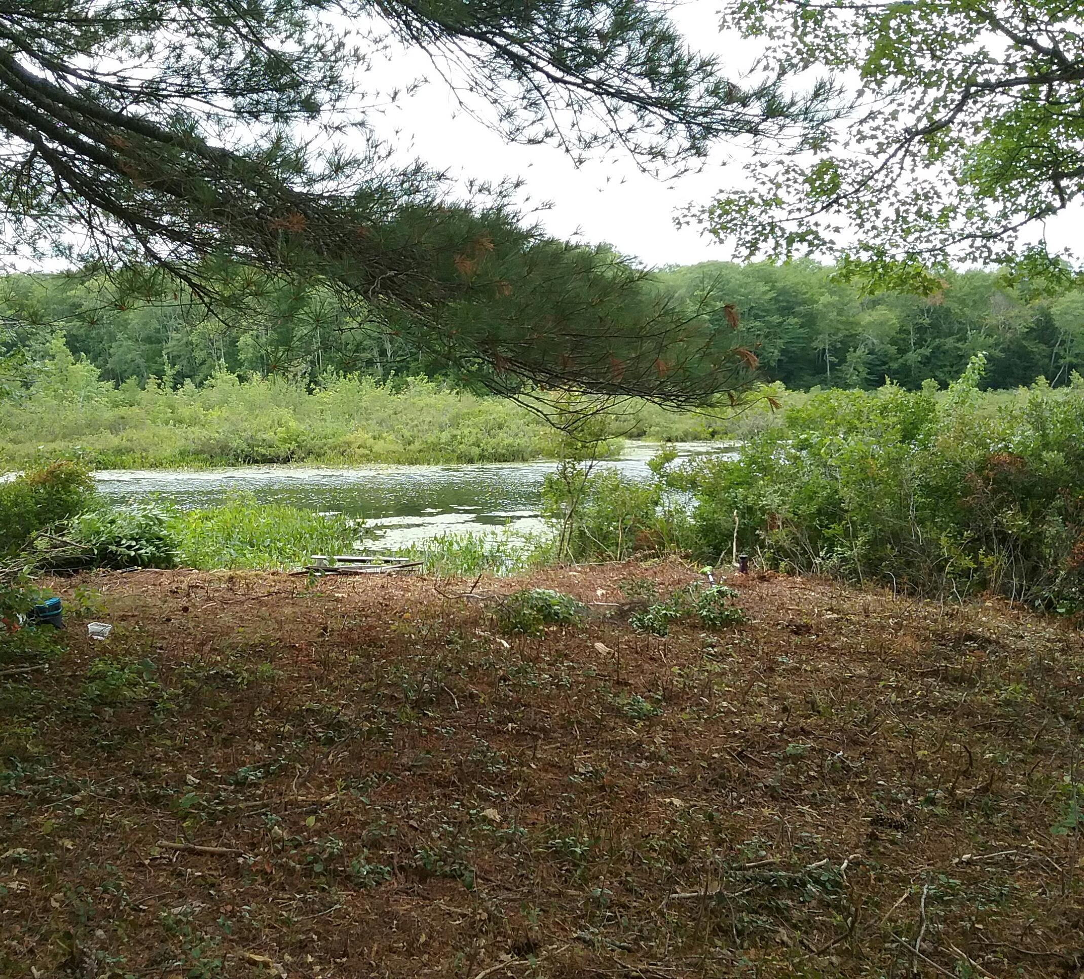 501 Duckpuddle Road Waldoboro, ME 04572 - Photo 7 of 10 20200823_214218