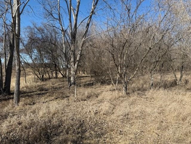 Tbd North Begole Road Alma, MI 48801 - Photo 2 of 8