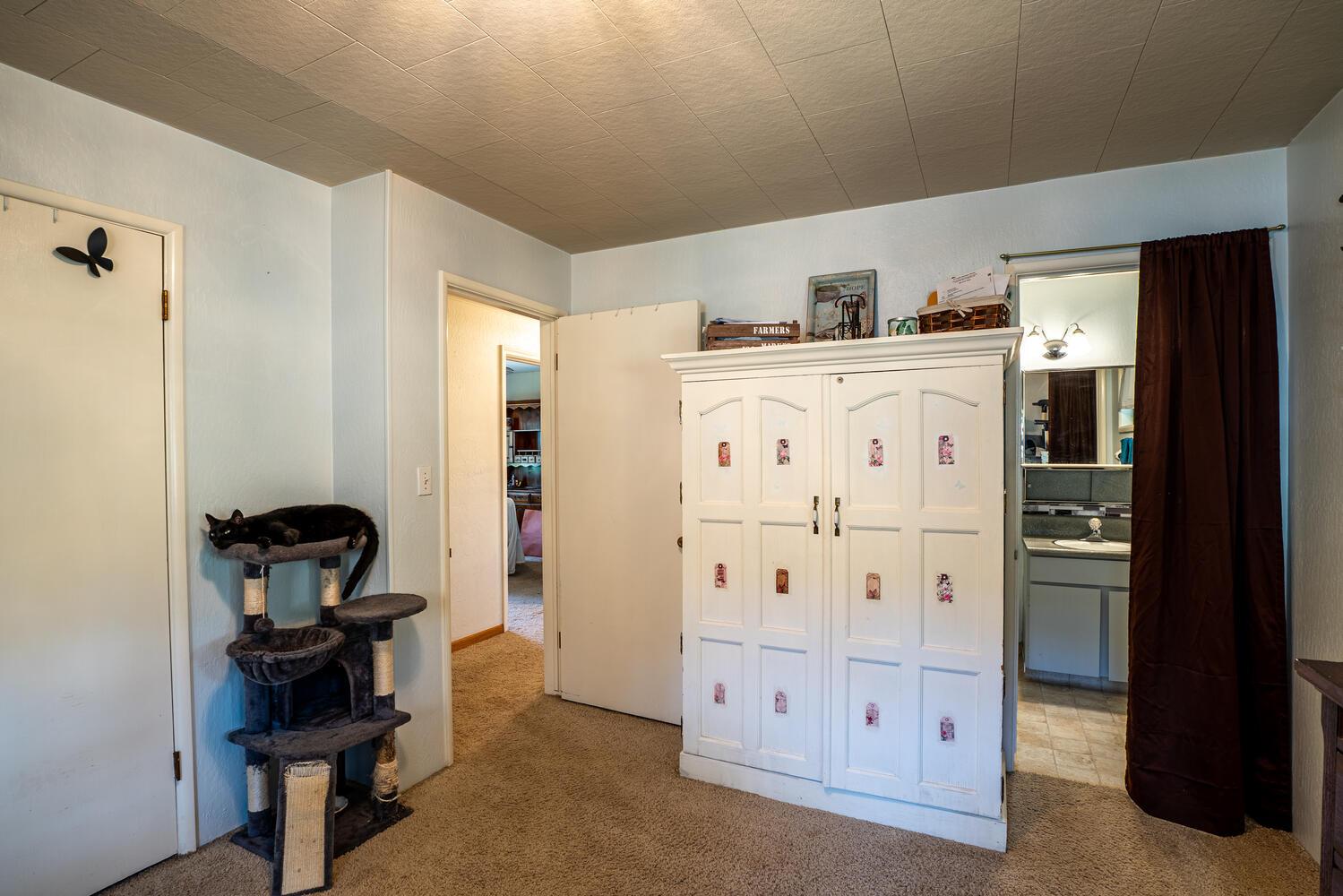 19805 Shake Ridge Road Volcano, CA 95689 - Photo 12 of 44