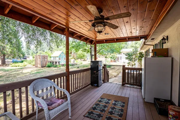 a view of a tree in the middle of a yard