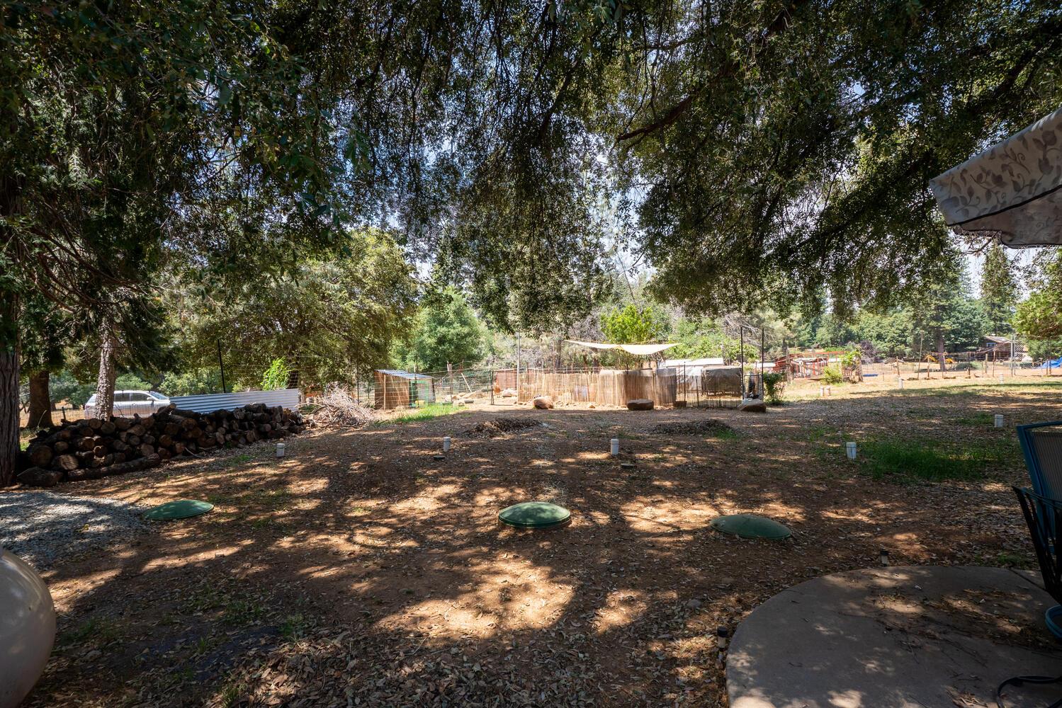 19805 Shake Ridge Road Volcano, CA 95689 - Photo 33 of 44