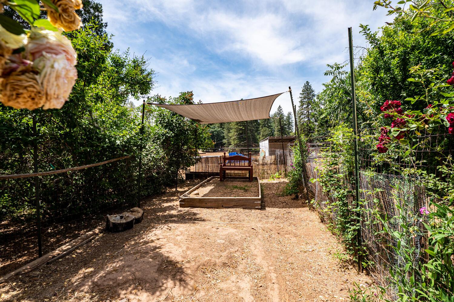 19805 Shake Ridge Road Volcano, CA 95689 - Photo 39 of 44