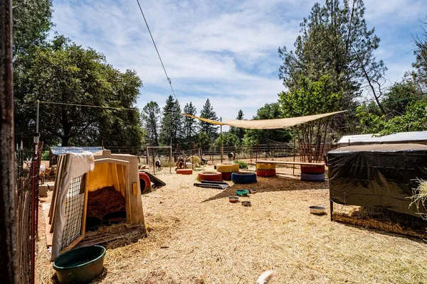 $485,000 | 19805 Shake Ridge Road, Volcano, CA 95689