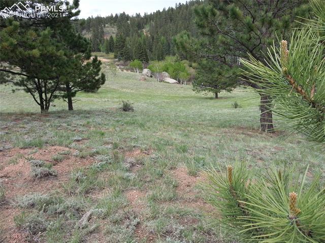2130 Pathfinder Road Florissant, CO 80816 - Photo 21 of 32 Gallery Image 21