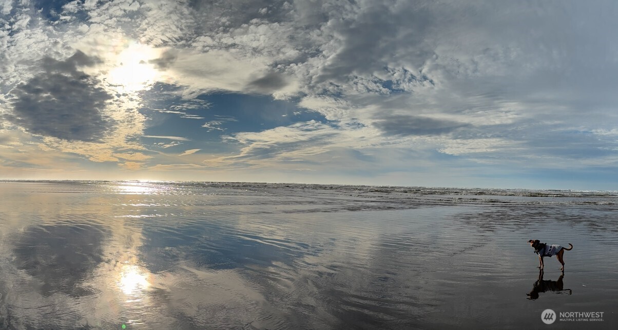 6 4th Street North Pacific Beach, WA 98571 - Photo 15 of 29