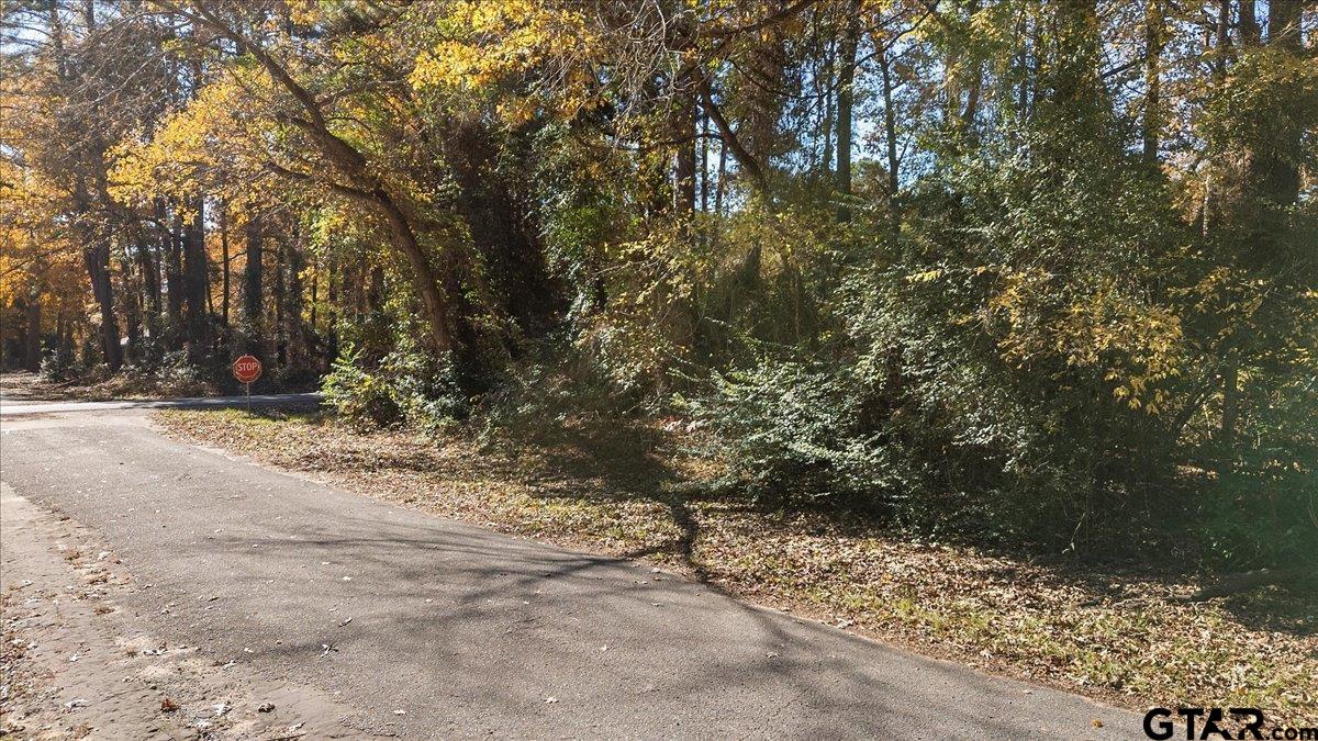 736 Jason Drive Bullard, TX 75757 - Photo 1 of 5 a view of a yard with trees