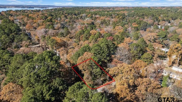 an aerial view of forest