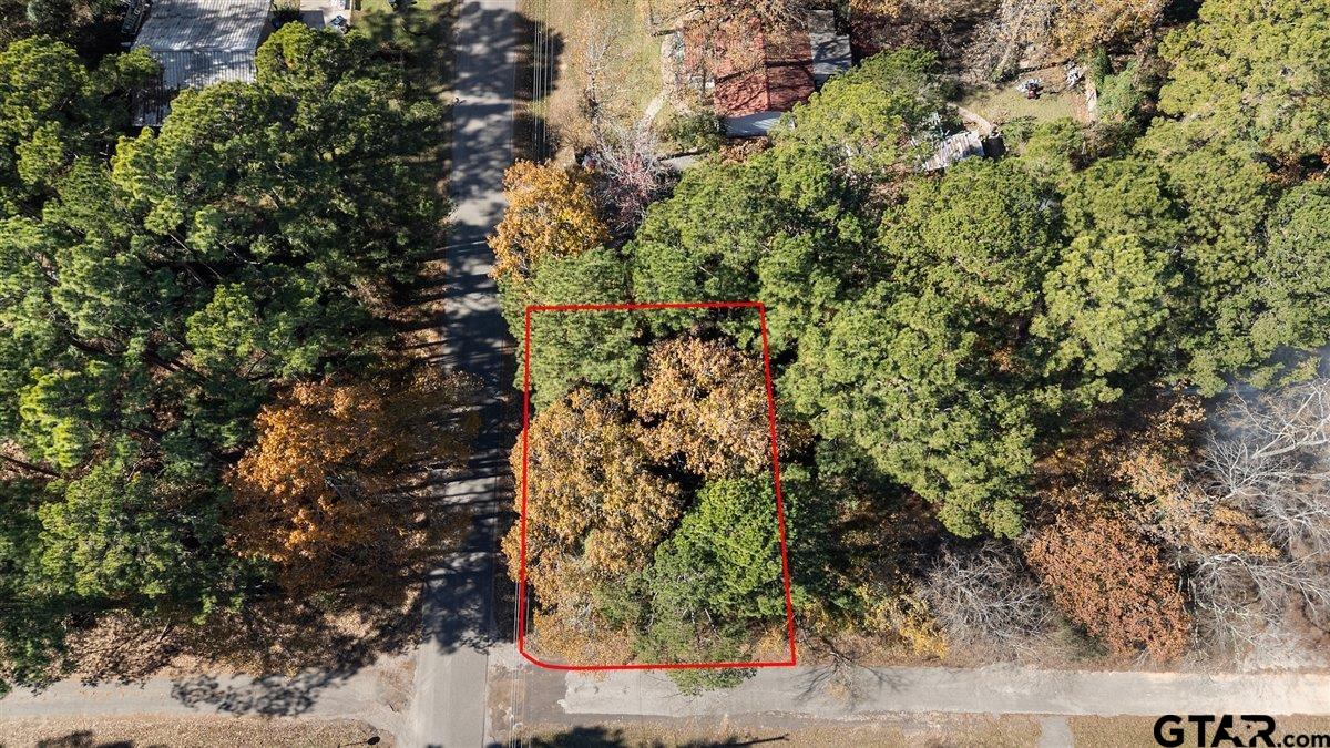 736 Jason Drive Bullard, TX 75757 - Photo 4 of 5 a view of a yard