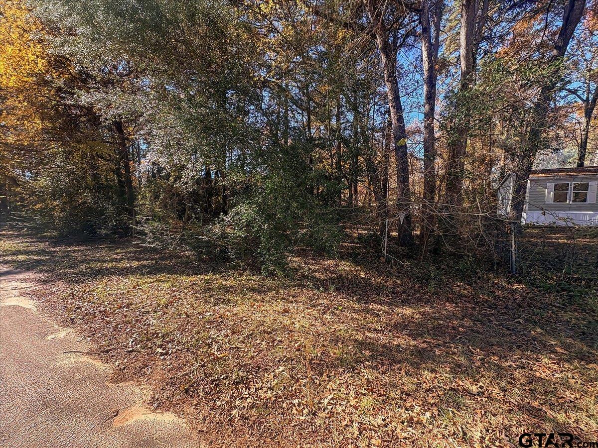 736 Jason Drive Bullard, TX 75757 - Photo 5 of 5 a backyard of a house with lots of green space