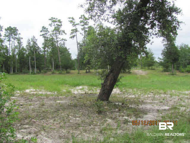 18439 Vaughn Road Seminole, AL 36574 - Photo 2 of 7