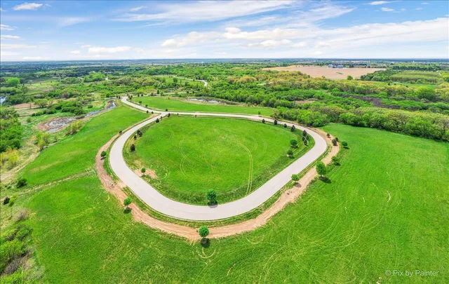a view of a swimming pool with a garden