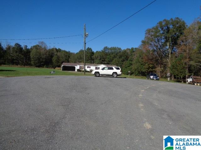 118 Whitney Circle Vincent, AL 35178 - Photo 3 of 24