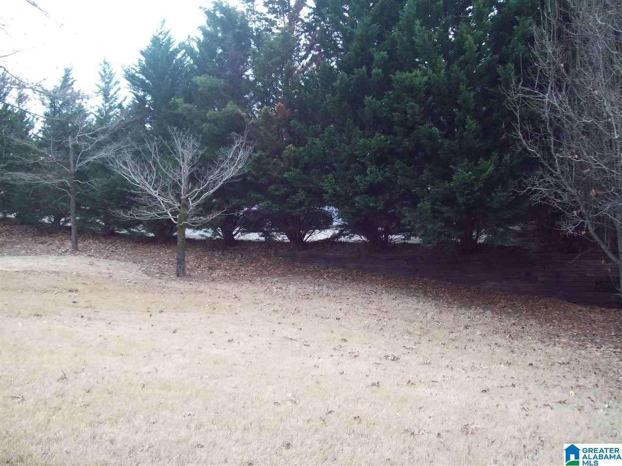 330 Grande View Trail Alabaster, AL 35114 - Photo 32 of 35
