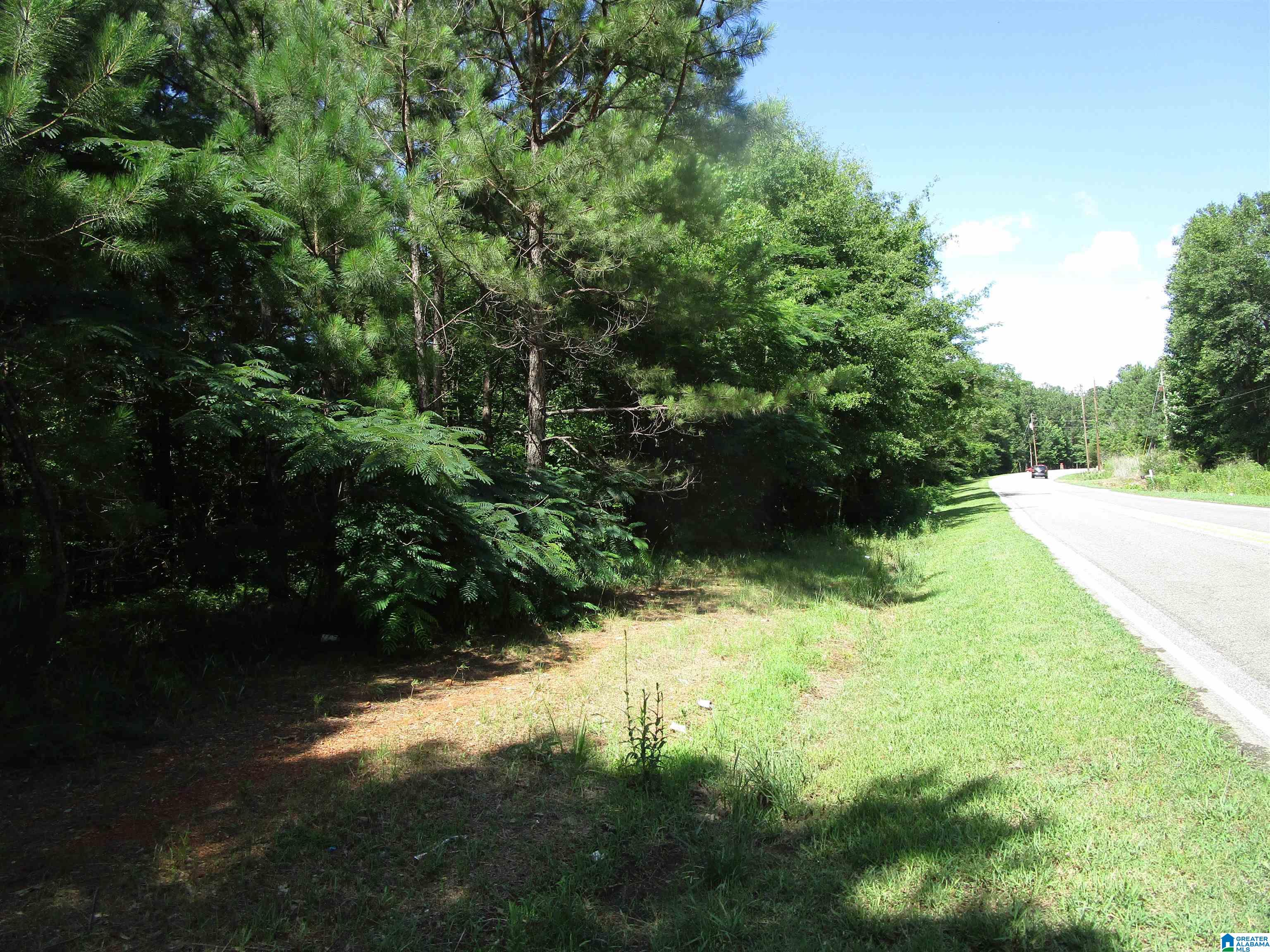 Odena Road, Unit 37 Maplesville, AL 36750 - Photo 2 of 7