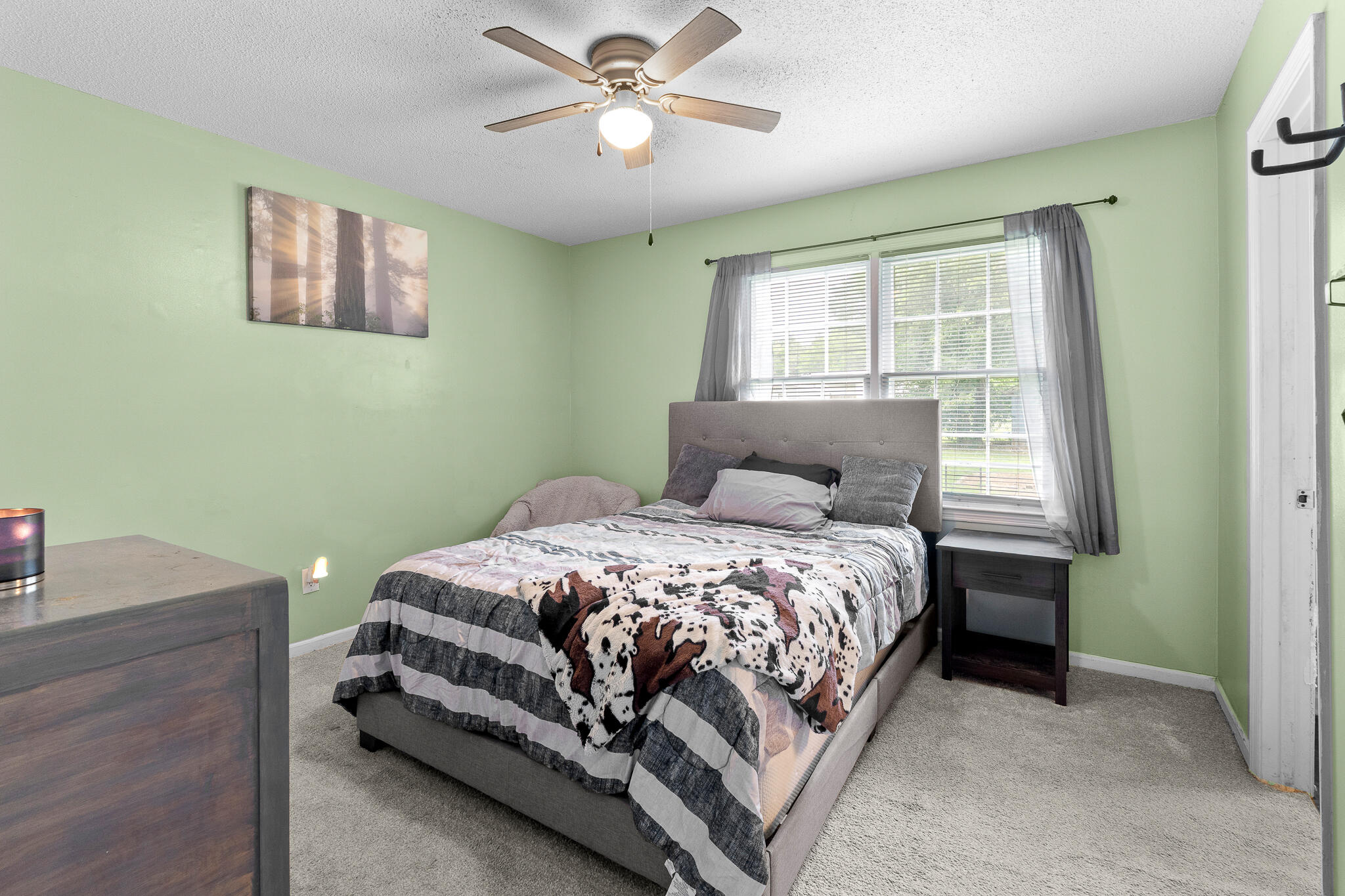 240 Camelia Street Barnwell, SC 29812 - Photo 8 of 31 CameliaSt-7