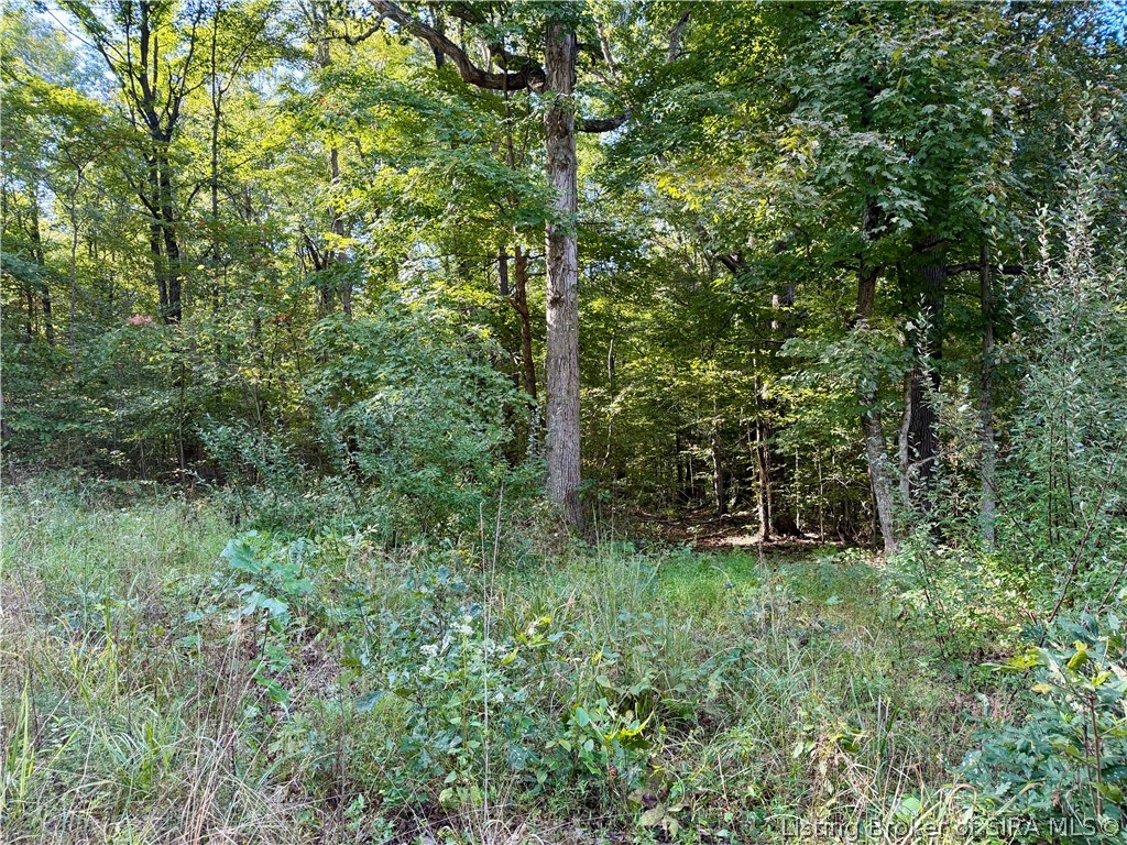 South Big Springs Road Pekin, IN 47165 - Photo 20 of 24 Gallery Image 20