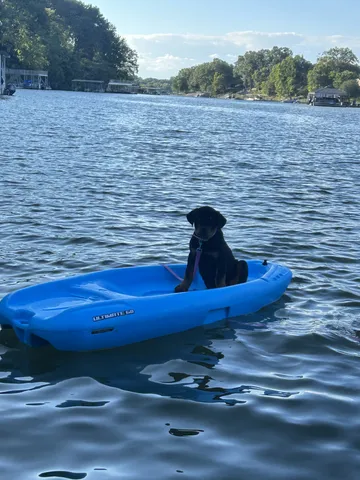 $949,000 | 279 Hammock Court, Winchester, TN 37398