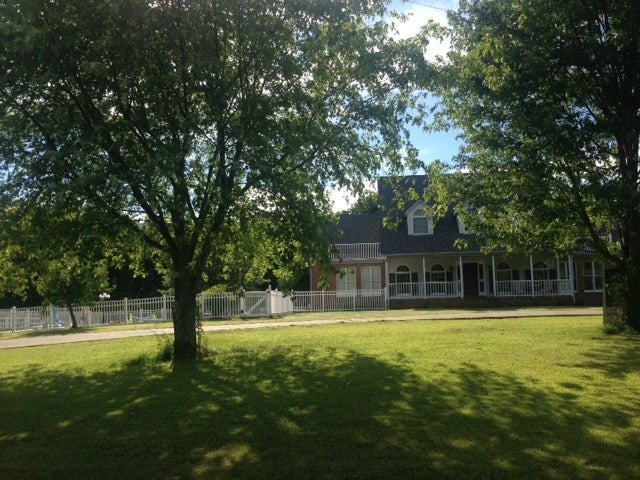 Gallery Image 4