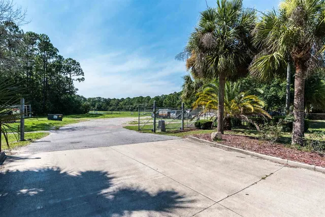 a view of a park with palm trees